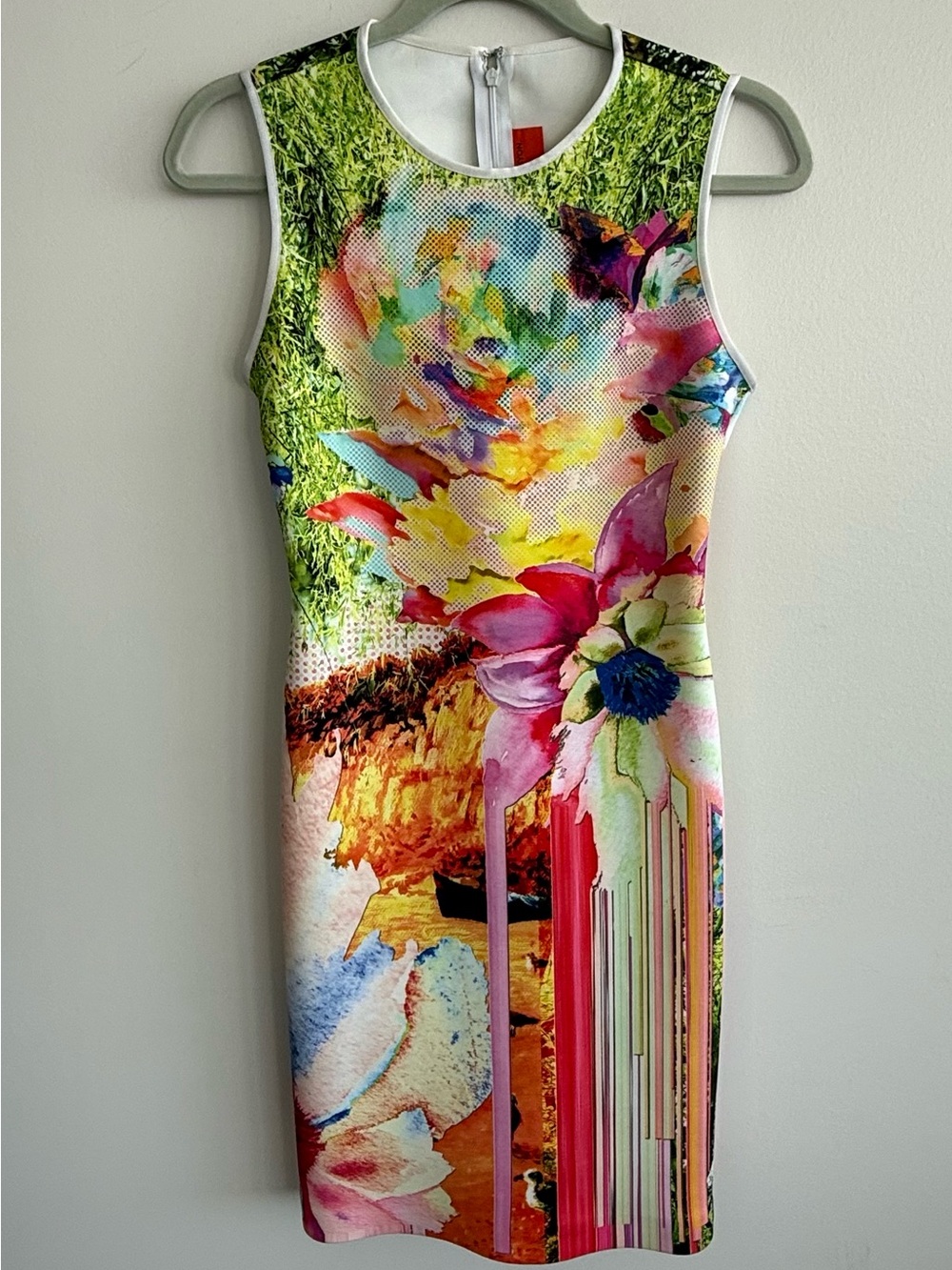 Clover Canyon Floral Print Sheath Dress Small NWOT